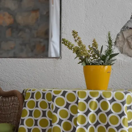 Mono Kai Triangle * 트로기르